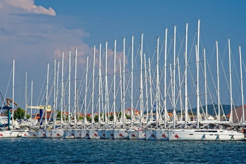 The port
