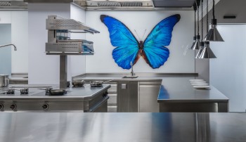 Špičková gastronomie vyžaduje dokonalé klima: Naše realizace v restauraci Papilio